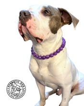 Load image into Gallery viewer, Grape Resin Bead Collar