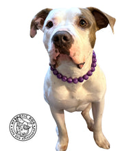 Load image into Gallery viewer, Grape Resin Bead Collar