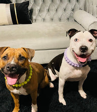 Load image into Gallery viewer, Lavender Rain Triplo Acrylic Bead Collar