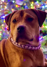 Load image into Gallery viewer, Lavender Rain Triplo Acrylic Bead Collar