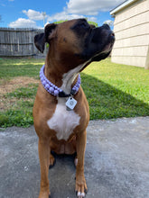 Load image into Gallery viewer, Lavender Rain Triplo Acrylic Bead Collar