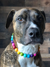Load image into Gallery viewer, Rainbow š Acrylic Bead Collar