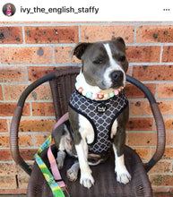 Load image into Gallery viewer, Sugar & Spice Bead Collar
