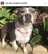 Load image into Gallery viewer, Sugar & Spice Bead Collar