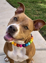 Load image into Gallery viewer, Rainbow š Acrylic Bead Collar