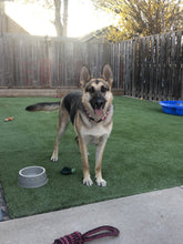 Load image into Gallery viewer, Chunky Rose Pink Pearls Acrylic Bead Collar