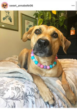 Load image into Gallery viewer, Unicorn Glam 🦄 Bead Collar