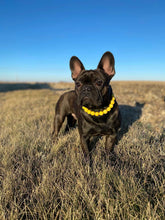 Load image into Gallery viewer, Sunny Waves Resin Bead Collar