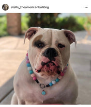 Load image into Gallery viewer, Unicorn Glam 🦄 Bead Collar