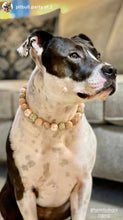 Load image into Gallery viewer, Rose Gold Champagne Bead Collar