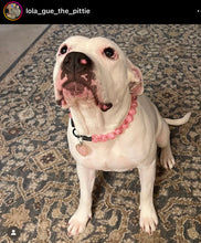 Load image into Gallery viewer, Pink Clouds Acrylic Bead Collar