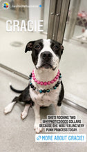 Load image into Gallery viewer, Haunted Nights Bead Collar