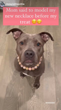 Load image into Gallery viewer, Rose Gold Champagne Bead Collar