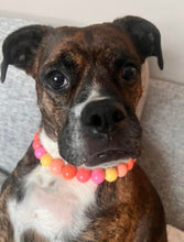 Load image into Gallery viewer, Sweet Tart Acrylic Bead Collar