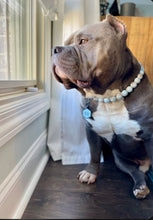 Load image into Gallery viewer, Sky Blue Resin Bead Collar