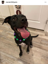 Load image into Gallery viewer, Monster Bash Bead Collar
