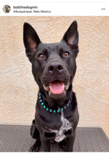 Load image into Gallery viewer, Blue Spark Bead Collar