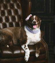 Load image into Gallery viewer, Lavender Rain Triplo Acrylic Bead Collar