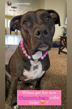 Load image into Gallery viewer, Pink Sugar Bead Collar