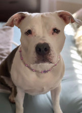 Load image into Gallery viewer, Pink & Purple Crystal Flowers 🌸 Acrylic Bead Collar