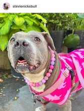 Load image into Gallery viewer, Pink Sugar Bead Collar