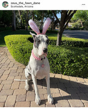 Load image into Gallery viewer, Blush Pink Rain Triplo Acrylic Bead Collar