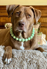 Load image into Gallery viewer, Pistachio Green Resin Bead Collar