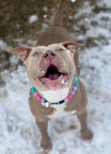 Load image into Gallery viewer, Unicorn Glam 🦄 Bead Collar
