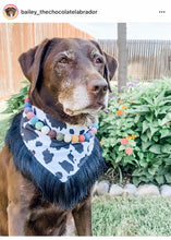 Load image into Gallery viewer, Lava Rock Bead Collar