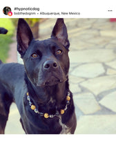 Load image into Gallery viewer, Conqueror Bead Collar