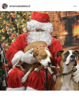 Load image into Gallery viewer, Christmas Frost Bead Collar