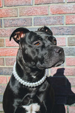 Load image into Gallery viewer, Times Square šŖ© Duplo Acrylic Bead Collar