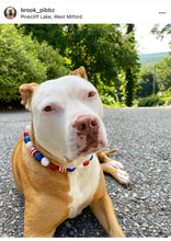 Load image into Gallery viewer, Americana Glam Bead Collar