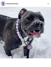 Load image into Gallery viewer, Fairy Tale Bead Collar