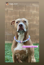 Load image into Gallery viewer, Fairy Tale Bead Collar