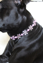 Load image into Gallery viewer, Pink & Purple Crystal Flowers 🌸 Acrylic Bead Collar