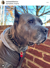 Load image into Gallery viewer, Tortoiseshell Ceramic Bead Collar
