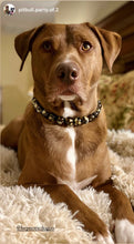 Load image into Gallery viewer, Tortoiseshell Ceramic Bead Collar