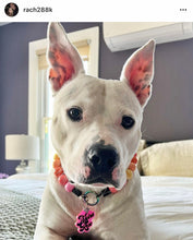 Load image into Gallery viewer, Sweet Tart Acrylic Bead Collar