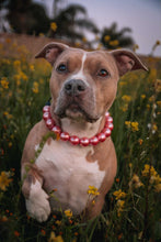 Load image into Gallery viewer, Chunky Rose Pink Pearls Acrylic Bead Collar