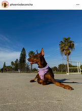 Load image into Gallery viewer, Lavender Rain Triplo Acrylic Bead Collar