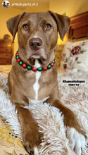 Load image into Gallery viewer, Christmas Frost Bead Collar