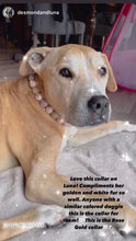 Load image into Gallery viewer, Rose Gold Champagne Bead Collar