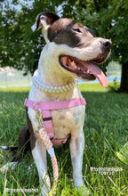 Load image into Gallery viewer, Duplo Mini White Pearl Acrylic Bead Collar