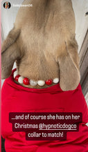 Load image into Gallery viewer, š§ 20" Slip On (Black O-Ring) Candy Cane Glam Bead Collar - PRE-MADE/FINAL SALE