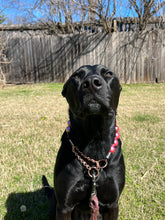 Load image into Gallery viewer, Chunky Rose Pink Pearls Acrylic Bead Collar