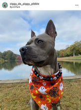 Load image into Gallery viewer, Haunted Nights Bead Collar