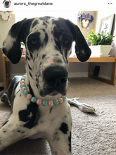Load image into Gallery viewer, Cotton Candy Shine Bead Collar - SALE
