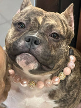 Load image into Gallery viewer, Rose Gold Champagne Bead Collar