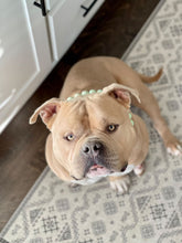 Load image into Gallery viewer, Pistachio Green Resin Bead Collar